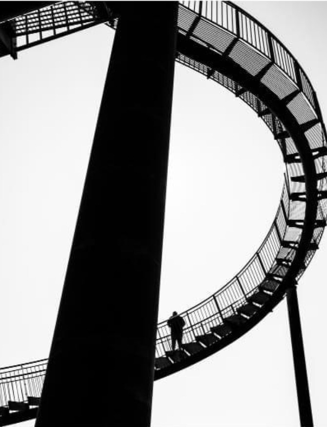 IMG_8239